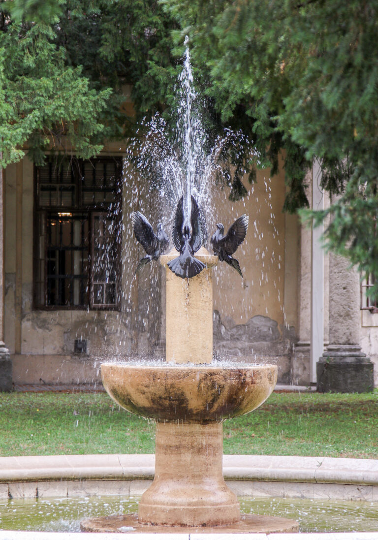fontána voda stromy holubice