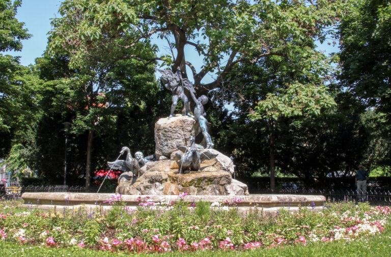 fontána kačice voda zeleň kvety stromy