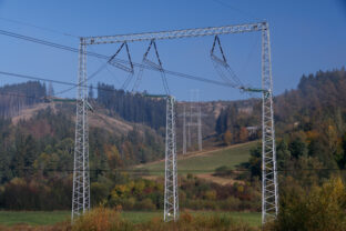 Vedenie, elektrina