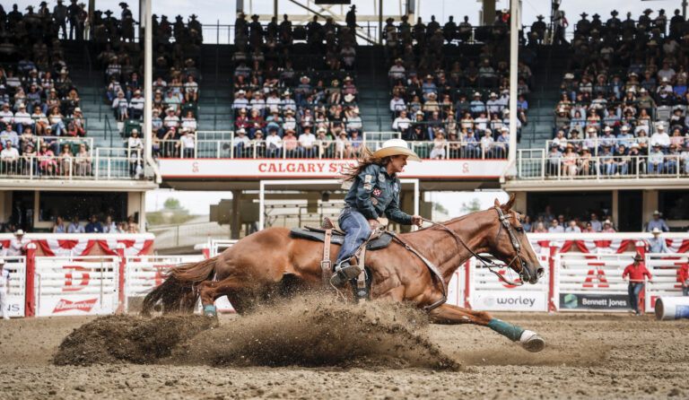 kôň džokej ródeo