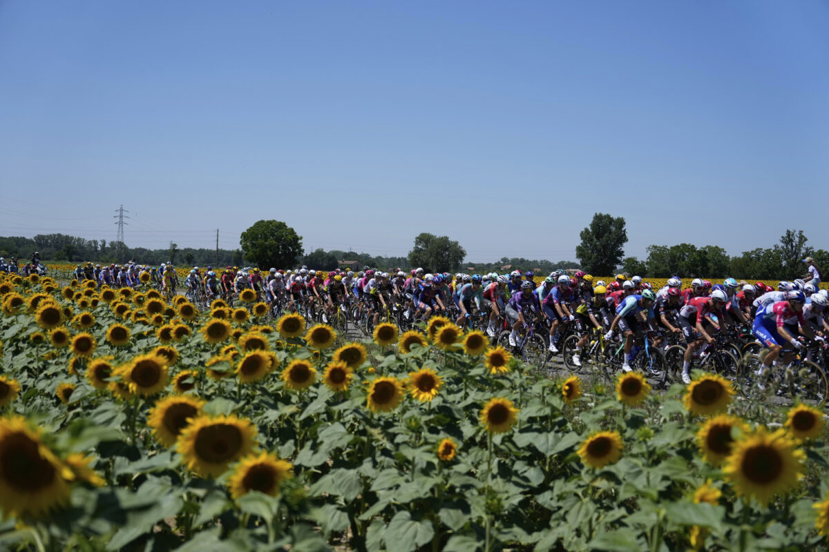 Tour de France cyklisti slnečnice preteky