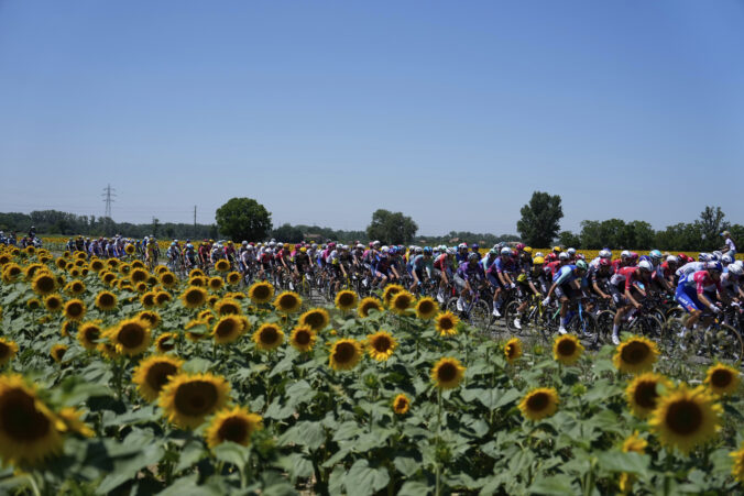 Tour de France cyklisti slnečnice preteky