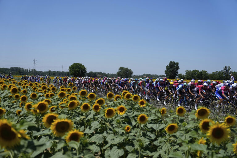 Tour de France cyklisti slnečnice preteky
