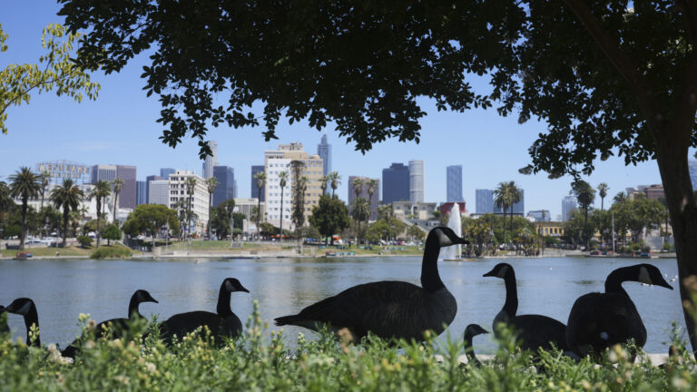 Hus mesto park stromy