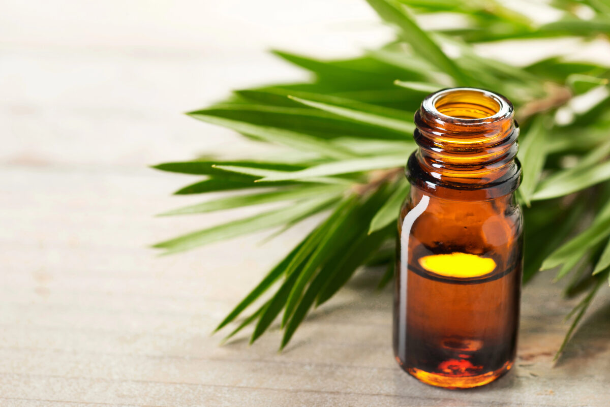 tea tree olej