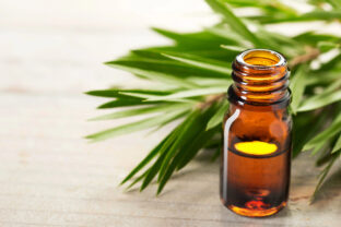 tea tree olej