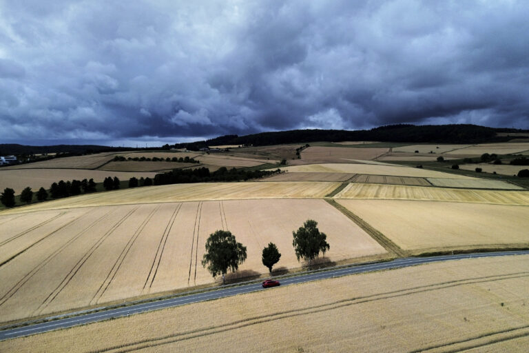 mraky polia stromy kukurica