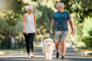 Retirement, fitness and walking with dog and couple in neighborhood park for relax, health and sports workout. Love, wellness and pet with old man and senior woman in outdoor morning walk together
