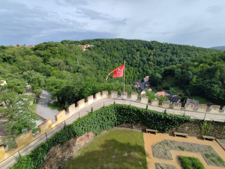 Pohľad z veže na okolité lesy.