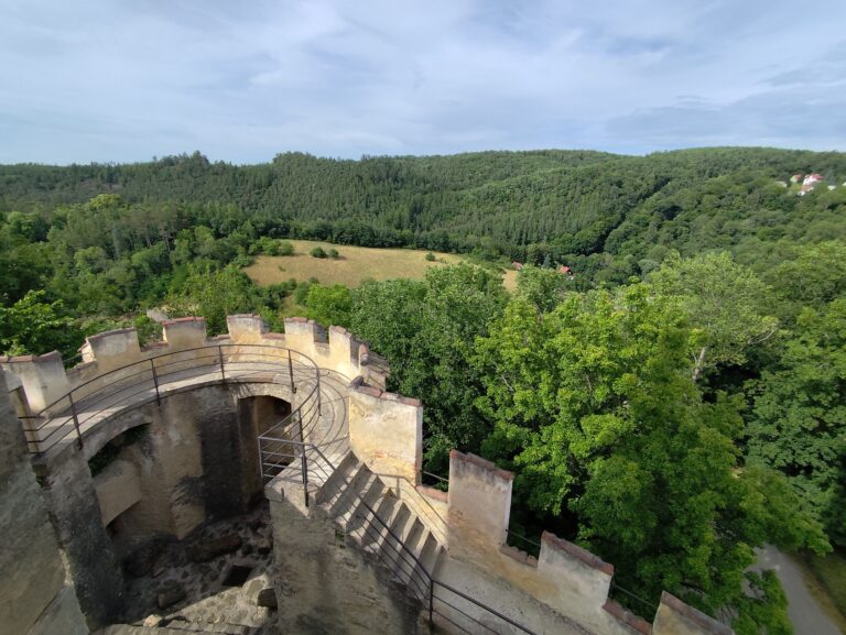 Pohľad z veže na okolité lesy.