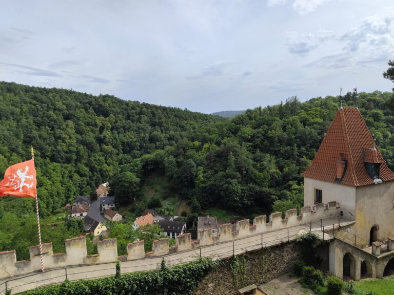 Pohľad z veže na okolité lesy.