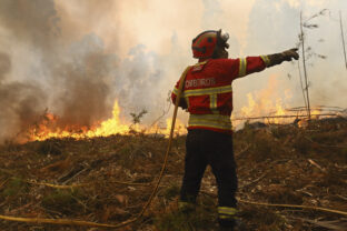 Portugal Wildfires