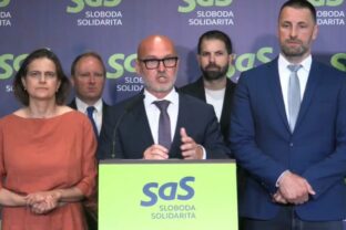 SaS