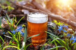 pivo