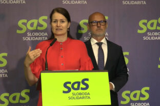 SaS