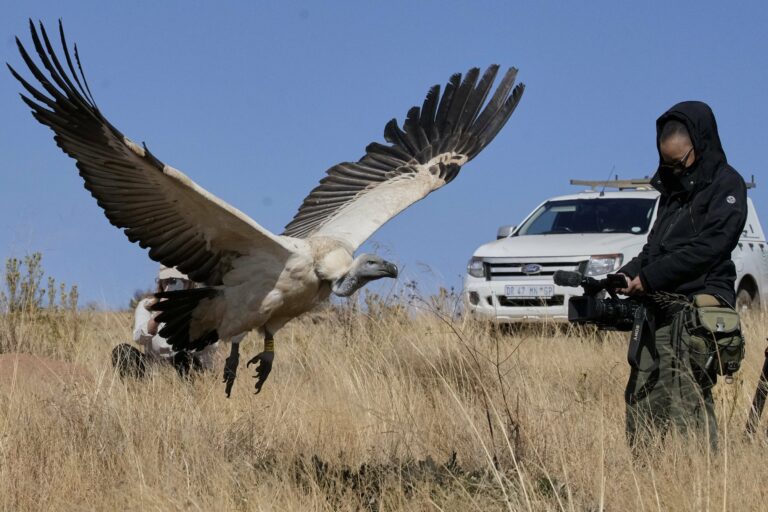 sup fotograf vozidlo