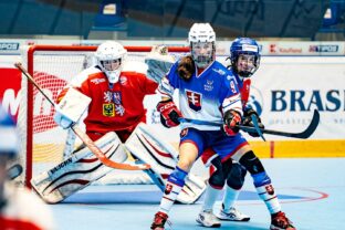 MSJ v hokejbale: Slovensko - Česko