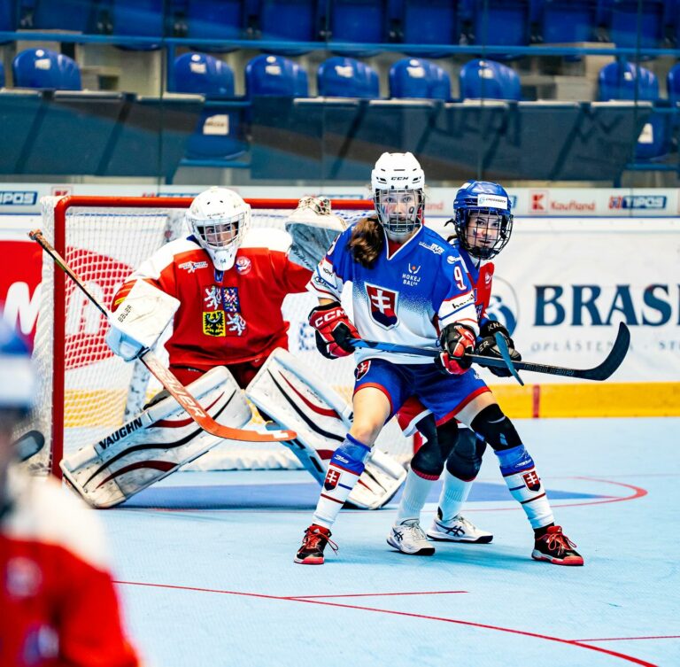 MSJ v hokejbale: Slovensko - Česko