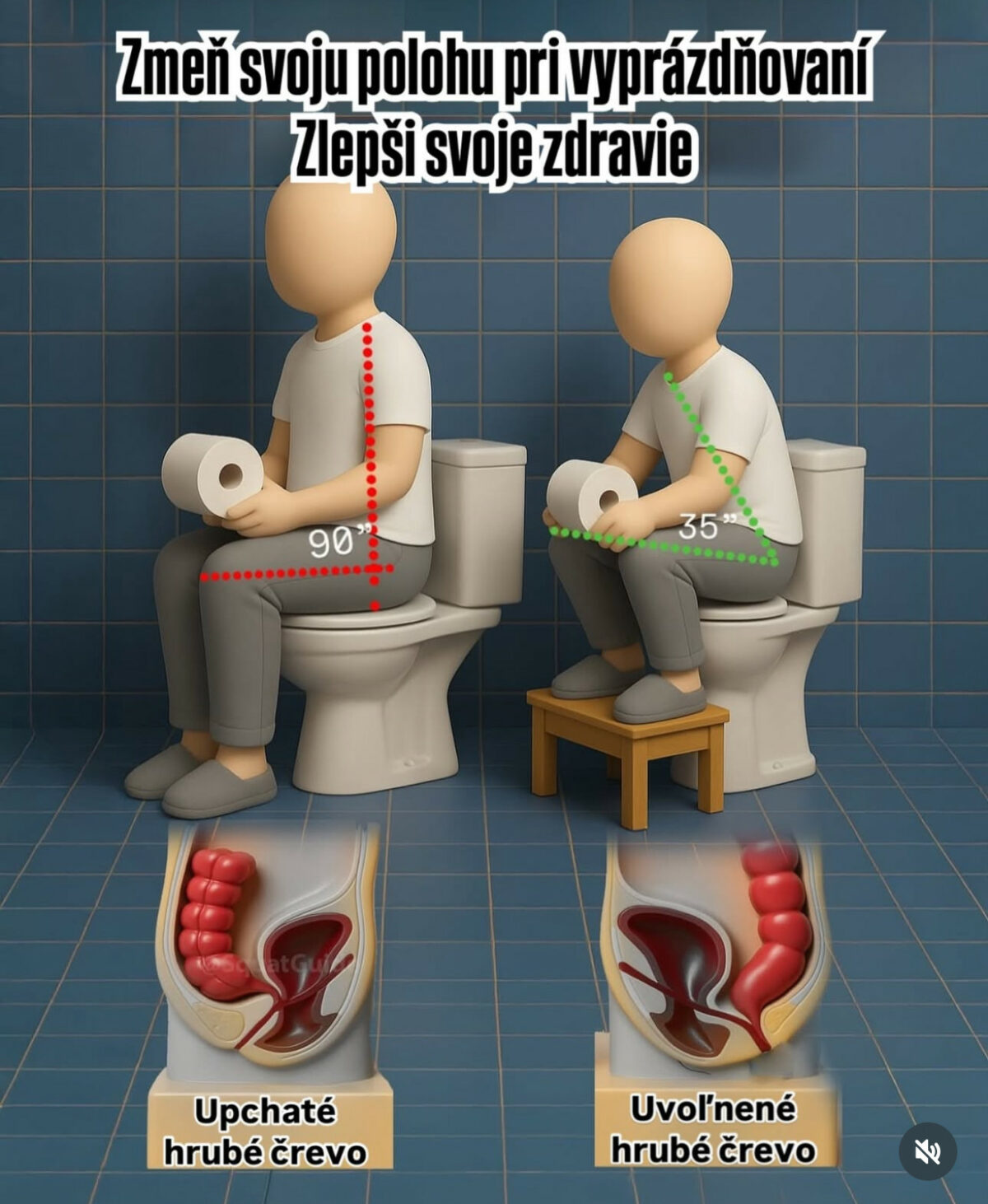 Za pacha 1.jpg