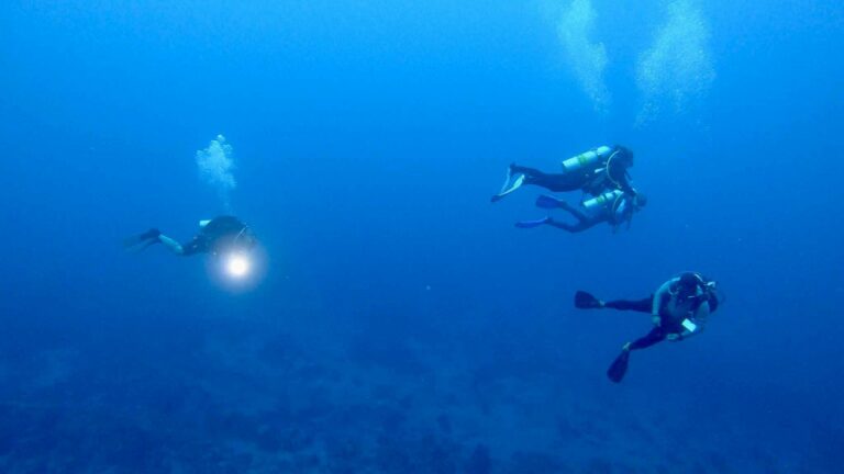 Potápanie, Podmorský život