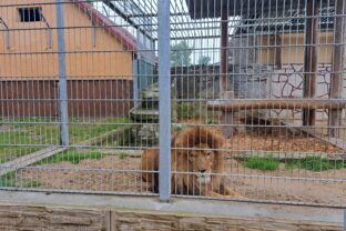 ZOO Spišská Nová Ves