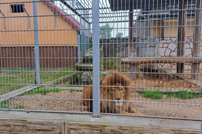 ZOO Spišská Nová Ves