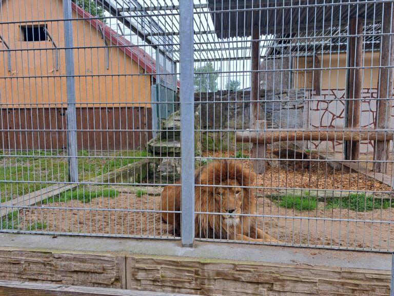 ZOO Spišská Nová Ves