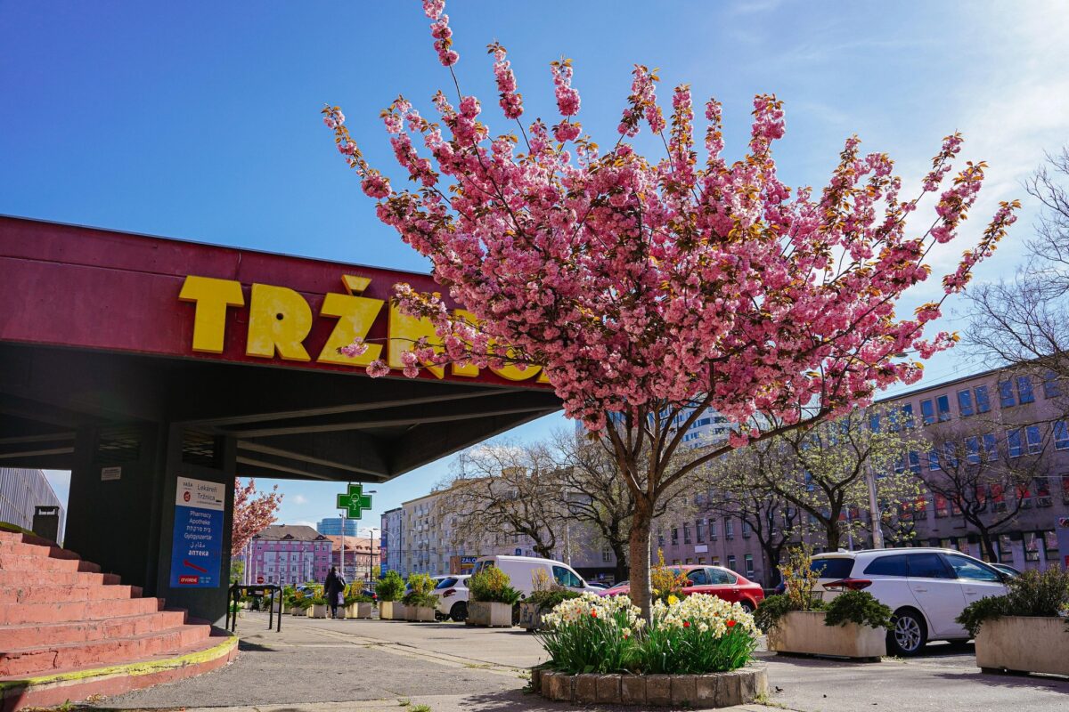 Tržnica na Trnavskom mýte.