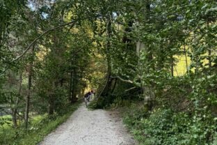 Pieniny