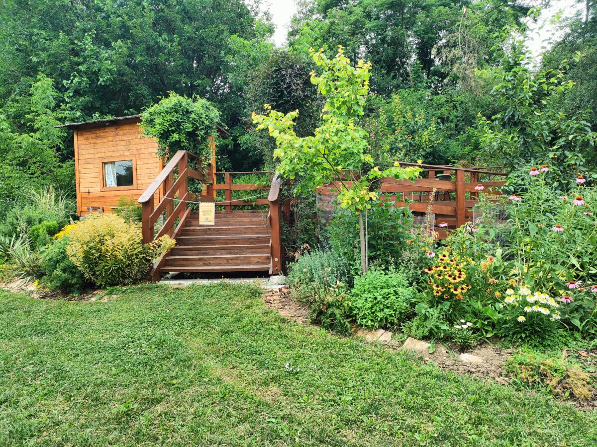 Botanická záhrada, Košice