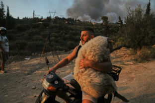 APTOPIX Greece Wildfires