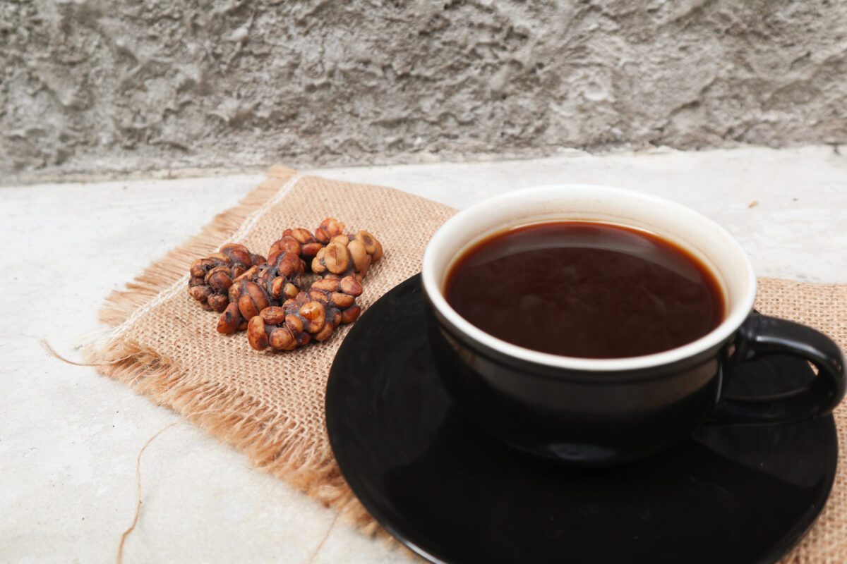 kopi luwak