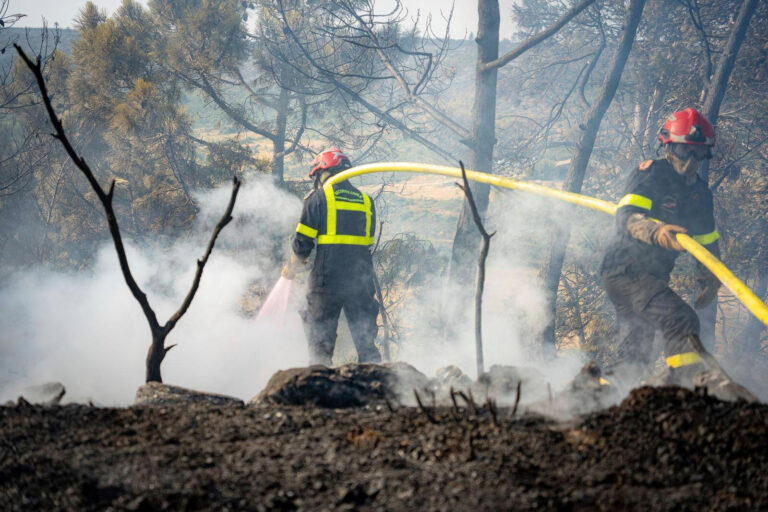 France Fires