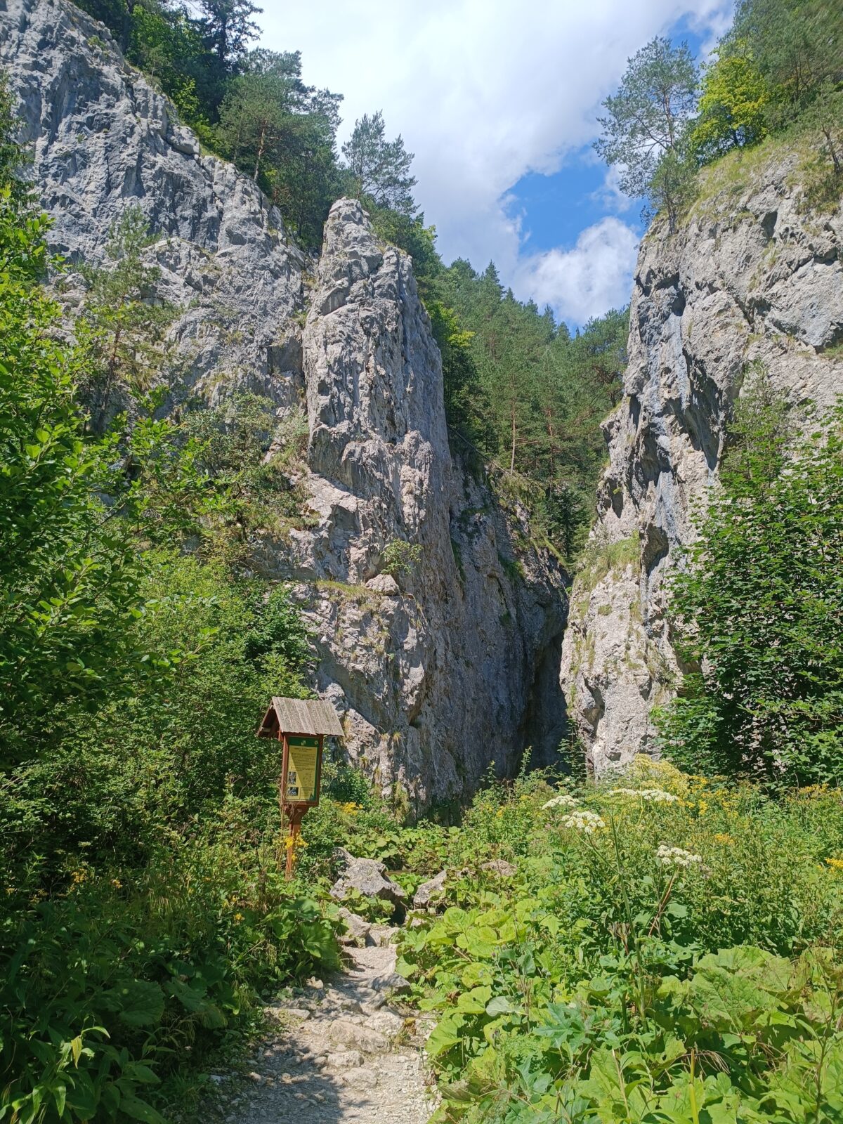 Prosiecka dolina located in a deep canyon in Liptov, Slovakia