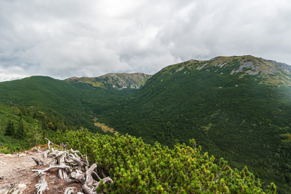 View above sedlo Palenica mountains pass bellow Sivy vrch hill in Western Tatras mountains in Slovakia