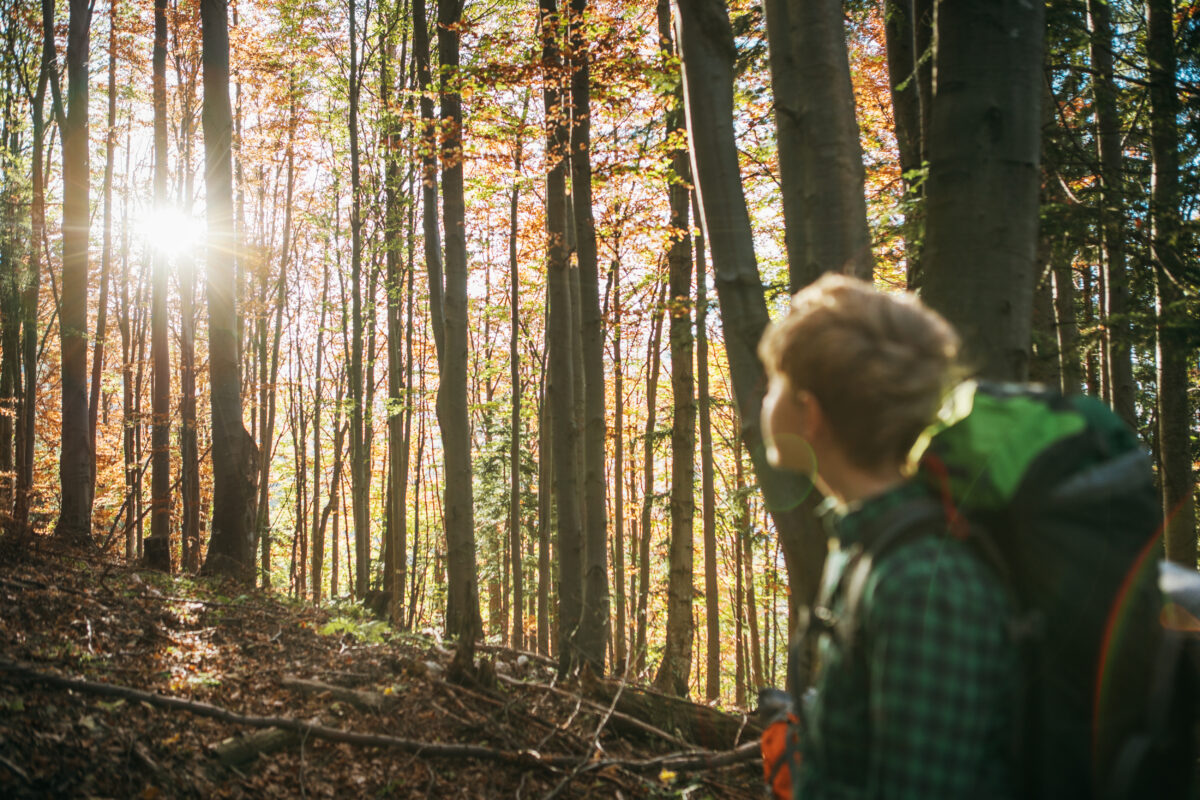 Teen boy backpacker walking in mountain forest in Mala Fatra, Slovakia enjoying sunny rays. Active teenager embracing adventure and outdoor exploration, perfect for family activities and nature lovers