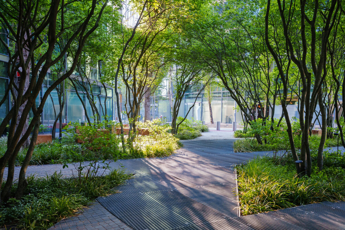 Green inner courtyard surrounded by modern office buildings