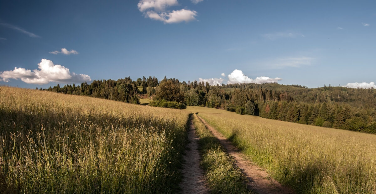 Meadow with pathway and blue sky with clouds in Beskids