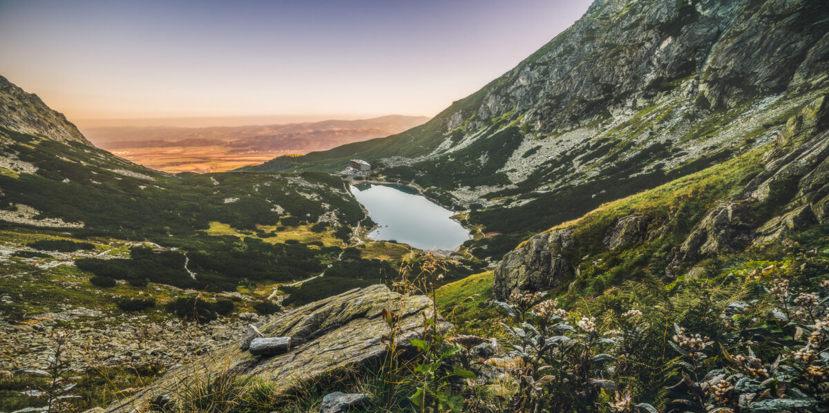 Mountain Lake at Sunset with Flowers and Hiking Trail in Foreground