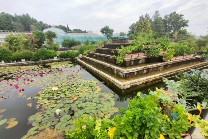 Botanická záhrada, Košice