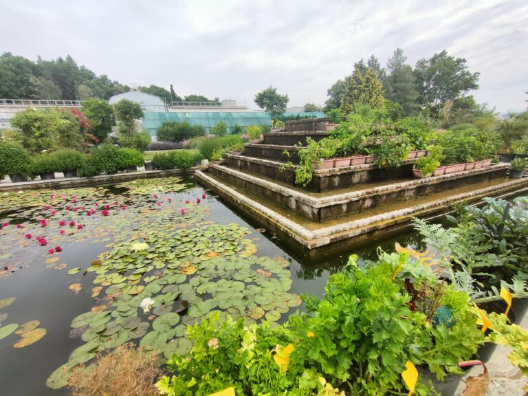 Botanická záhrada, Košice