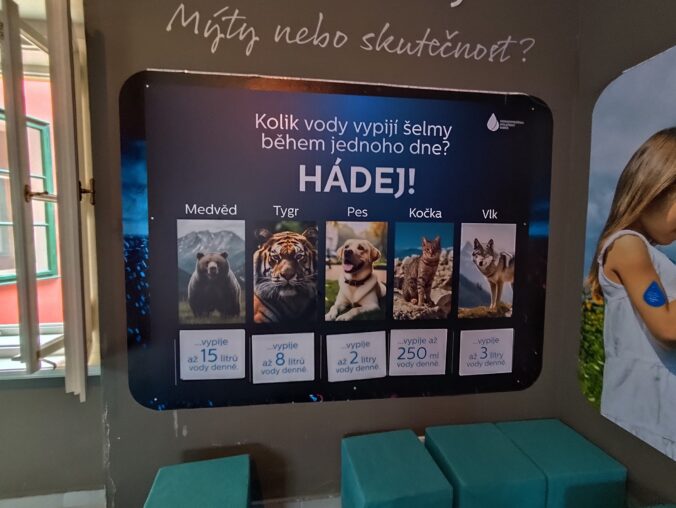 V oranžérii, ktorá kedysi slúžila ako skleník, dnes nájdete hravé expozície Voda a Les, ktoré zábavnou formou vysvetľujú kolobeh vody či fungovanie lesa.