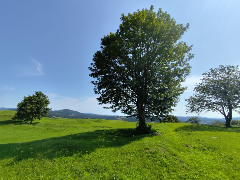 Historické opevnenie Velká Šance pri Mostoch u Jablunkova s kamennými hradbami a zachovanými valmi
