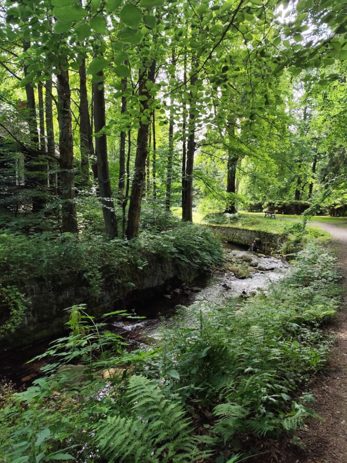 Posledný Pojez fest sa konal v krásnom prostredí obce Karlova Studánka.