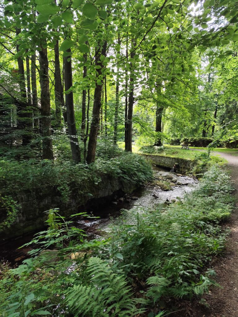 Posledný Pojez fest sa konal v krásnom prostredí obce Karlova Studánka.