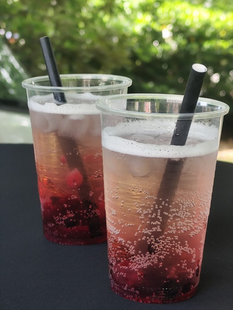 Návštevníci Pojez festu majú možnosť ochutnať rôzne tradičné i netradičné nápoje a špeciality.