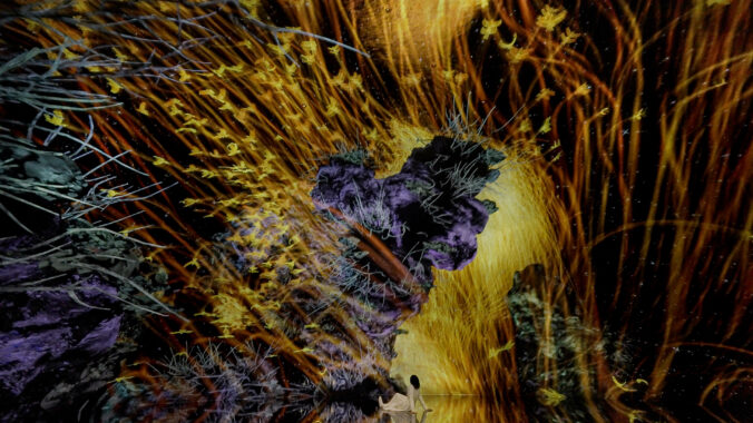 žena abstrakcia vtáky