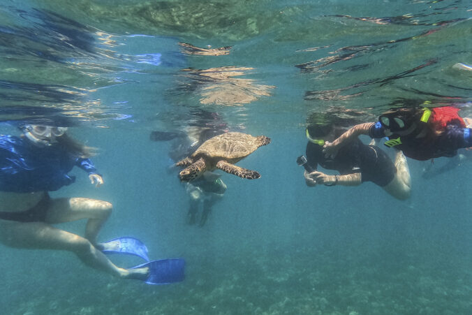Morská korytnačka pláva turisti more