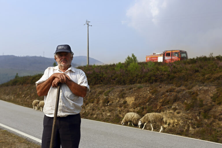 Portugal Wildfires