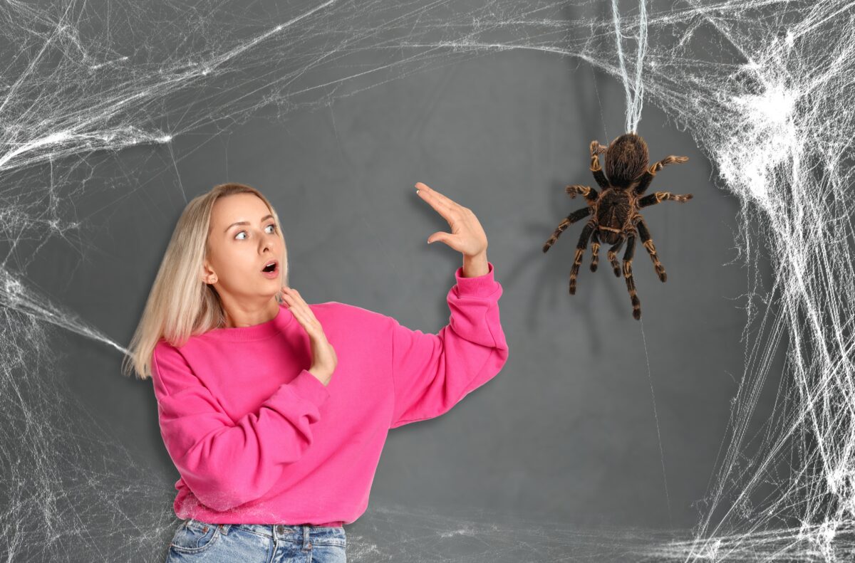 arachnofóbia